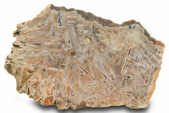 Polished Moroccan Stick Agate Slab - Morocco #334899